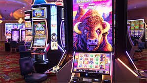 Interface taruhan Speed Baccarat di superdewa dengan opsi player, banker, dan tie